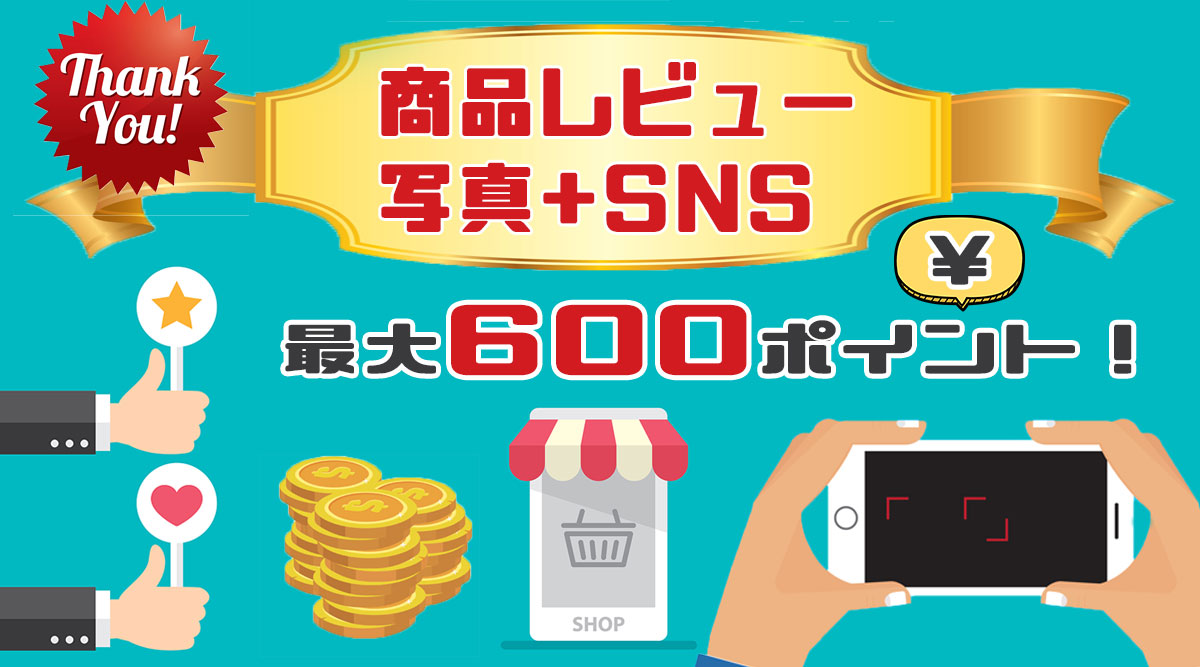 設置例キャンペーンバナー